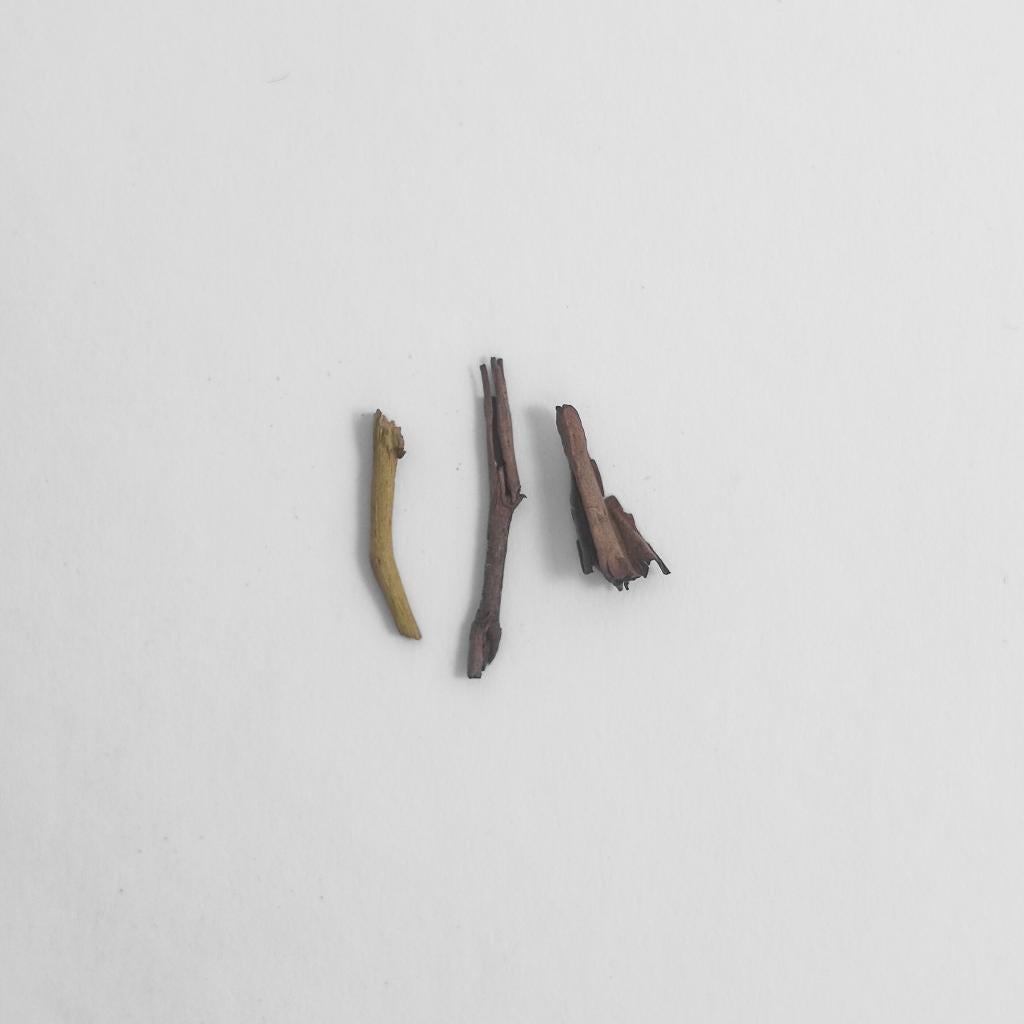 CHA HAUS - Hojicha Dark Roast 50g | 深煎ほうじ茶 | Uji, Kyoto 50g